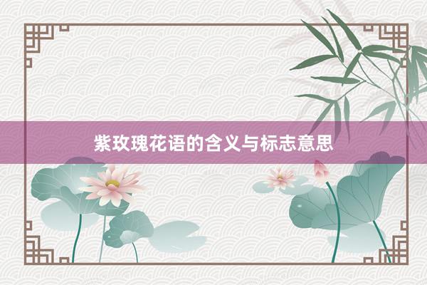 紫玫瑰花语的含义与标志意思