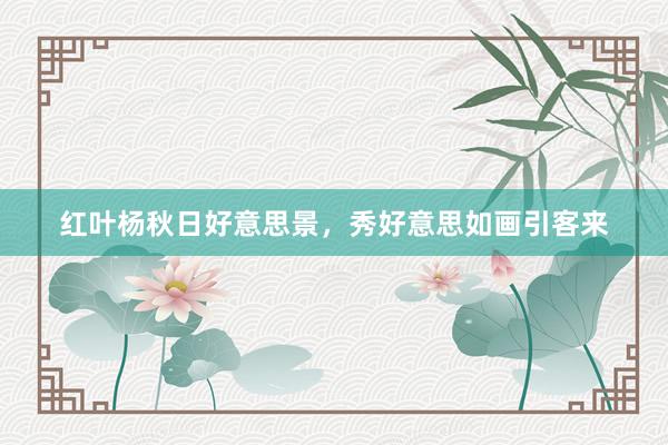 红叶杨秋日好意思景，秀好意思如画引客来