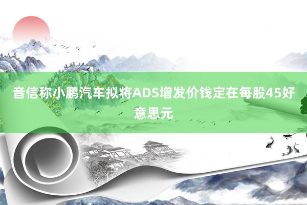 音信称小鹏汽车拟将ADS增发价钱定在每股45好意思元