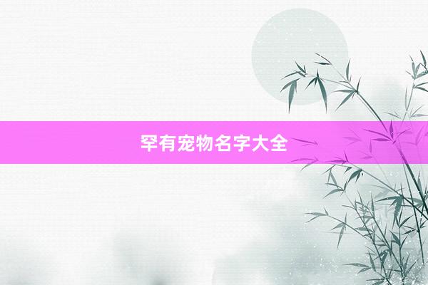 罕有宠物名字大全